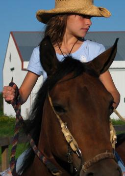 Ansley